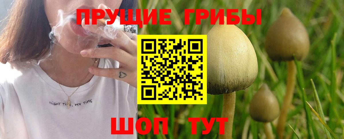 Псилоцибиновые грибы Psilocybe  Вход с VPN  Псилоцибиновые грибы Psilocybe  Ангарск 